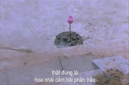 Em dâu nổi tiếng với pha làm tình táo bạo trong nhà